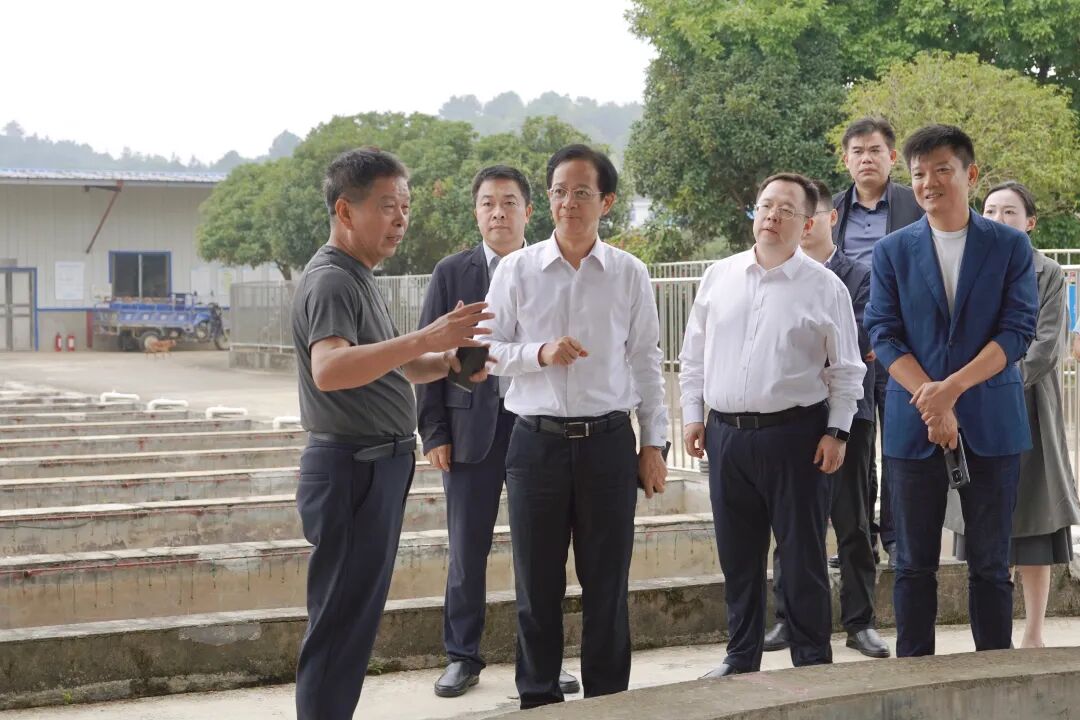 开福区政府主要领导调研村庄规划和全域土地综合整治工作